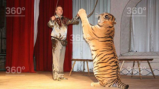 Директору цирка, в котором лев напал на ребёнка, заключили под стражу