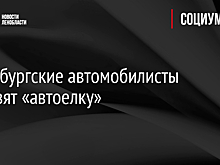 Петербургские автомобилисты составят «автоелку»