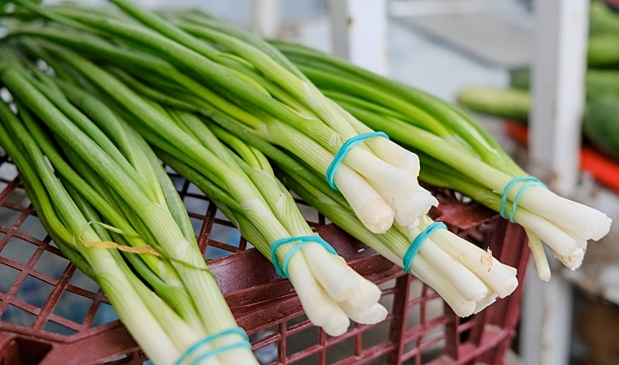 Специалисты назвали защищающие от омикрон-штамма продукты
