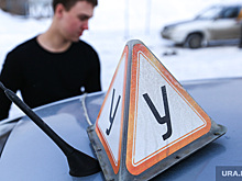 МВД перечислило основные ошибки при сдаче экзамена на права