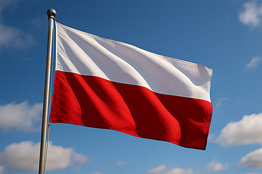 Выяснилось, что ЕС освободил Польшу от обязательства принимать мигрантов