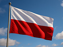 Выяснилось, что ЕС освободил Польшу от обязательства принимать мигрантов