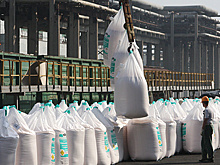 РАПУ подтвердила прогноз по экспорту удобрений около 44 млн тонн по итогам года