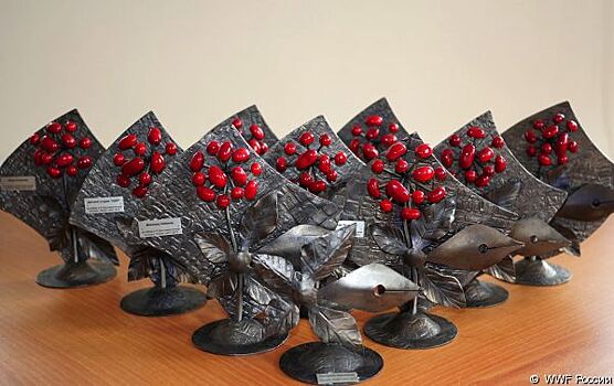 Конкурс «Живая тайга» станет одним из событий Года ООПТ