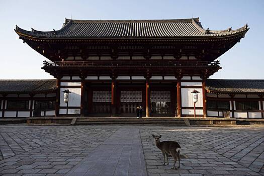 Турист-подросток выбил свое имя на памятнике ЮНЕСКО XIII века и угодил в полицию