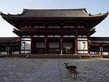 Турист-подросток выбил свое имя на памятнике ЮНЕСКО XIII века и угодил в полицию