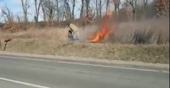 Калининградец поймал поджигателя травы и заставил его тушить огонь