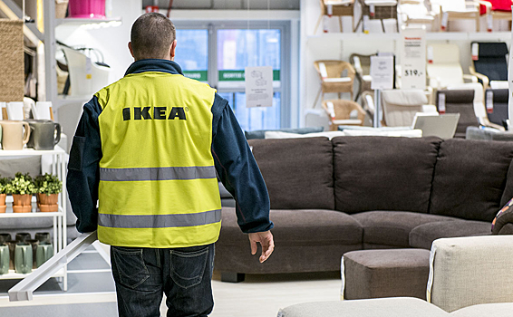 СМИ: Ikea использует нелегальную древесину Украины