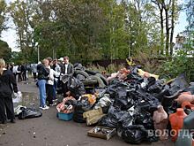 Более 400 команд и свыше 1500 участников: Вологда побила собственный рекорд в «Чистых играх»