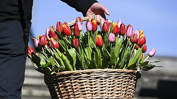 Продавцы предупредили о дефиците цветов к 8 марта