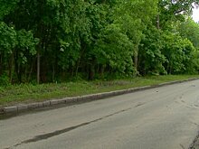 Олимпийскую аллею расчистят от многолетних навалов грязи