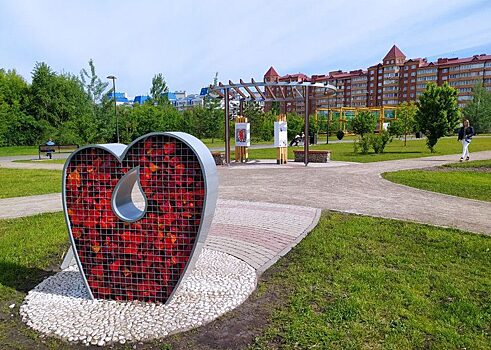 В парке им. 400-летия Красноярска появилась аллея «Почётный донор»