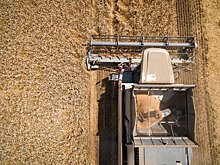 Агротехнический стартап привлек полмиллиона долларов инвестиций