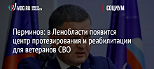 Перминов: в Ленобласти появится центр протезирования и реабилитации для ветеранов СВО