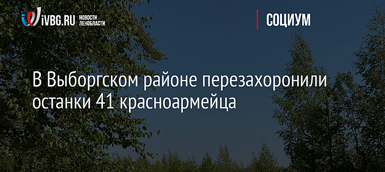 В Выборгском районе перезахоронили останки 41 красноармейца