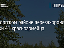 В Выборгском районе перезахоронили останки 41 красноармейца