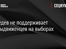 Медведев выступил против самовыдвиженцев среди членов "ЕР"