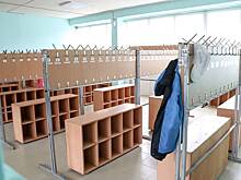 Давку в российской школе с валящимися на пол детьми сняли на видео