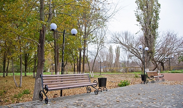 Волгоградцы обсуждают вспышку ОРВИ, приговор за мошенничество и досрочные пенсии в ноябре