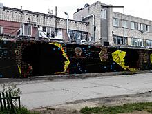 Научные граффити поссорили общественников Академгородка