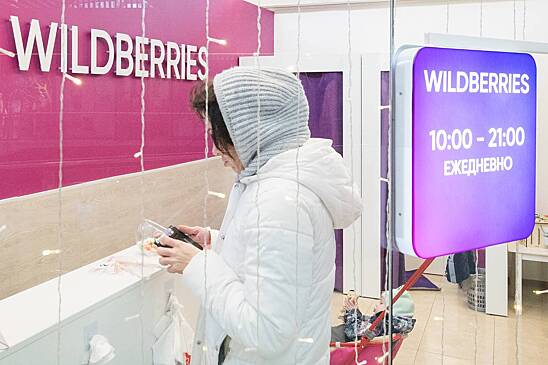 В России заявили о доминирующем положении Wildberries и Ozon на рынке