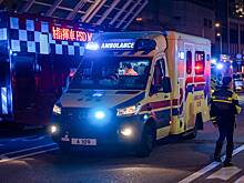 Сбежавший кот погубил хозяина