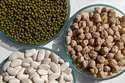 Россия стала импортировать больше нута, маша и фасоли