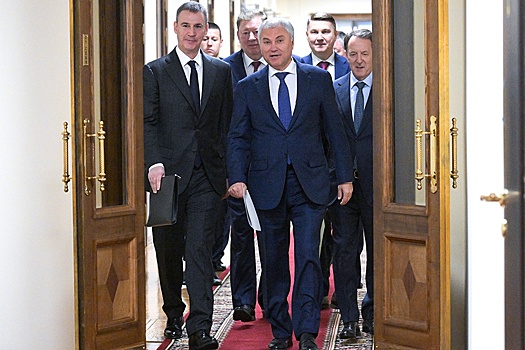 Володин: Экспорт сельхозпродукции приносит РФ больше доходов, чем продажа оружия