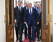 Володин: Экспорт сельхозпродукции приносит РФ больше доходов, чем продажа оружия