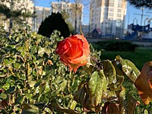 В Анапе обновлен исторический минимум температуры