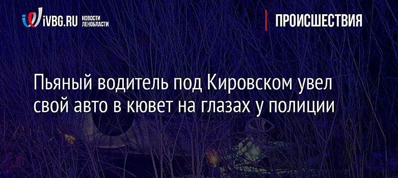 Пьяный водитель под Кировском увел свой авто в кювет на глазах у полиции