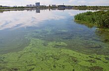 В России разработали метод оценки загрязненности водоемов с помощью наноалмазов