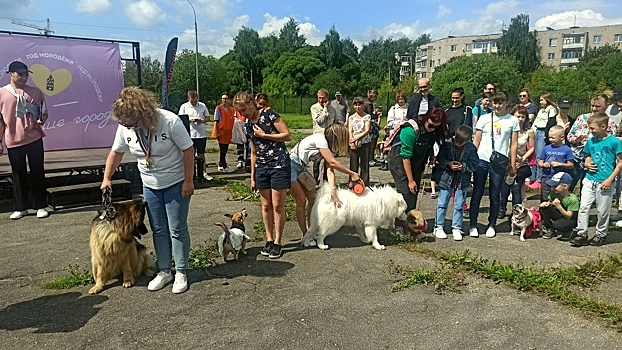 Вологодский фестиваль «ХвосТОС» получил поддержку на 2024 год