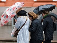 Специалист Гринин посоветовал не выходить на улицу при сильном ветре