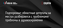 Подпорожье: областные депутаты на местах разбираются с проблемами в здравоохранении