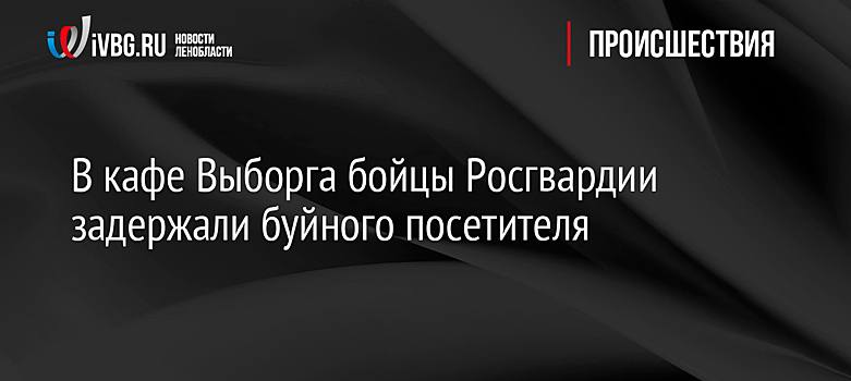 В кафе Выборга бойцы Росгвардии задержали буйного посетителя