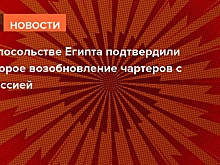 В посольстве Египта подтвердили скорое возобновление чартеров с Россией