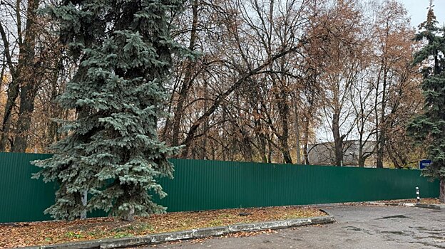 В сквере Дзержинского могут вырубить до сотни деревьев