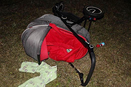 Пьяный водитель сбил коляску с ребенком в Красноярском крае