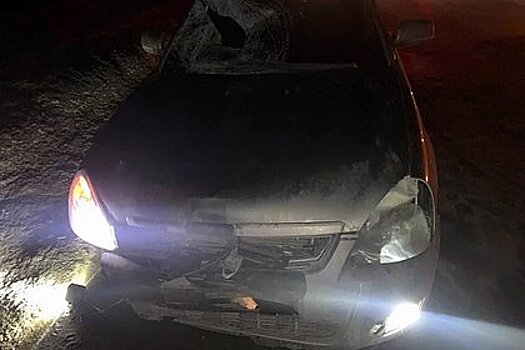 На российской трассе насмерть переехали пешехода