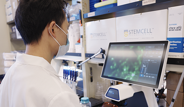 Разработан нано-«компьютер» на основе белка