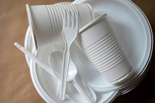 В российском регионе частично запретят пластиковую посуду