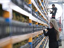 Две проблемы энергетиков России от майнинга