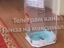 В избиркоме прокомментировали фейк о зеленке в школе № 70