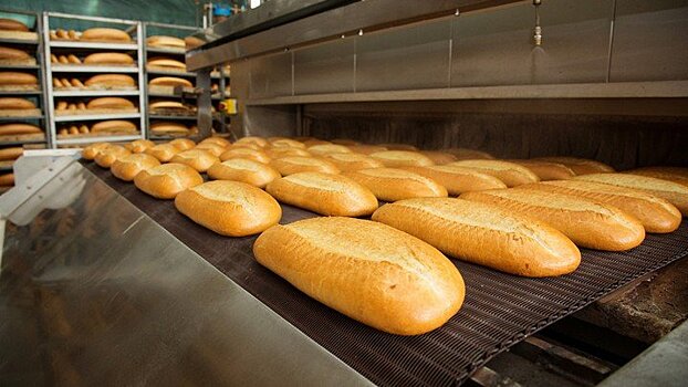 Директор хлебокомбината в Воронежской области получил условный срок за махинации с НДС