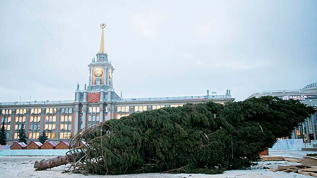 С приездом: главную елку Екатеринбурга доставили с нескольких попыток