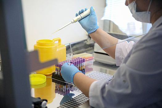 У скольких томичей, вернувшихся с отдыха из-за границы, обнаружили COVID-19?