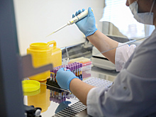 У скольких томичей, вернувшихся с отдыха из-за границы, обнаружили COVID-19?