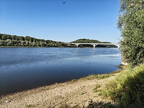 В Вятку выпустили первую партию мальков стерляди в 2025 году