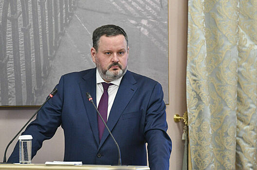 Котяков: Суммарный коэффициент рождаемости сохраняется на уровне 1,4